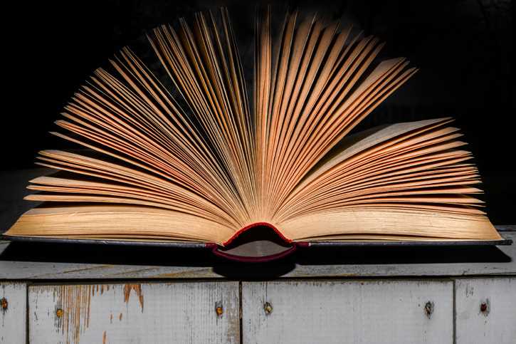 Història de l'antinovel·la: origens i antecedents